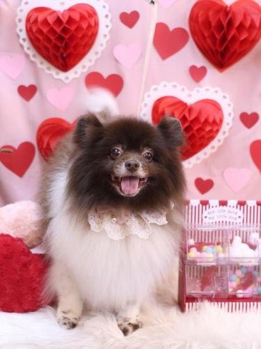 20240227太郎くん